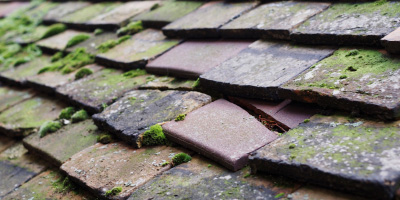 Hullbridge roof repair costs